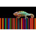 thumbnail image 7 of Honeii Chameleon Panther On Colored Pencils Print Canvas College Laptop Backpack, Durable Rucksack Travel Notebook Bag School Backpack Book Bag for Men Women-Small, 7 of 7