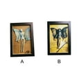thumbnail image 1 of Ruiboury 1/2/3/5 Spine-chilling Ambiance Mummified Fairy Display Box Is Wear-resistant And Can Be Used For Long Time A 1 Pc, 1 of 6
