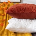thumbnail image 4 of Pumpkin Fall Decorative Throw Pillow Covers 18x18 PV Velvet Red Square for Thanksgiving Home Living Room, 4 of 8
