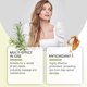 thumbnail image 3 of Rosemary Body Essential Oil - Nourishing, Moisturizing & Relaxing Massage Oil for Daily Skin Care, 3 of 5