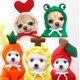 thumbnail image 3 of Sudadera con capucha de frutas para perro, ropa básica para mascotas, abrigo de suéter, disfraz de cachorro de Bulldog Francés para perros pequeños, sudaderas con capucha cálidas para mascotas, chaque, 3 of 4