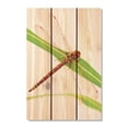 thumbnail image 2 of Day Dream HQ DF2836 28 x 36 in. Dragon Fly Inside & Outside wood Wall Art, 2 of 7