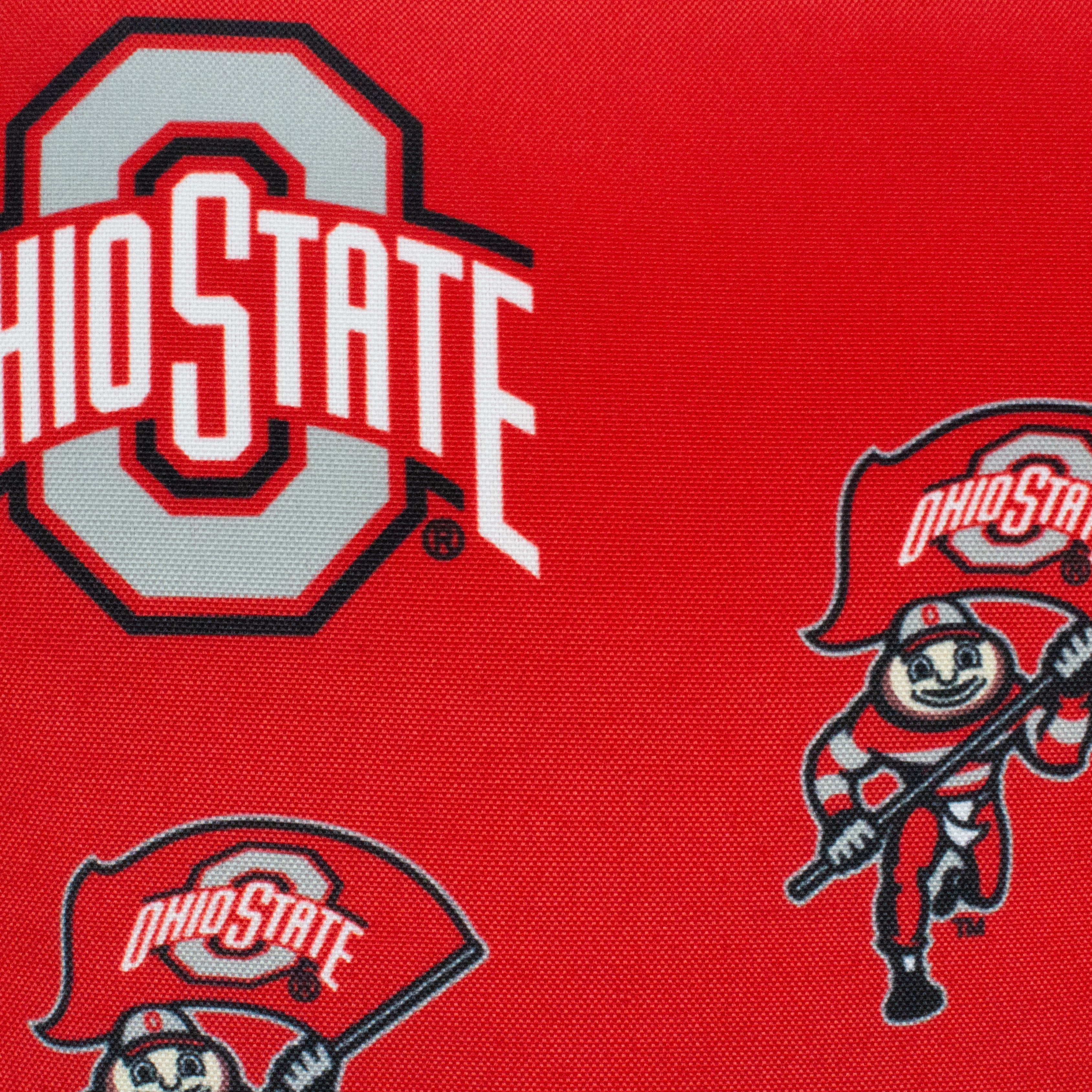Ohio State Buckeyes College Covers Indoor or Outdoor Decorative Pillow 16 in x 16 in