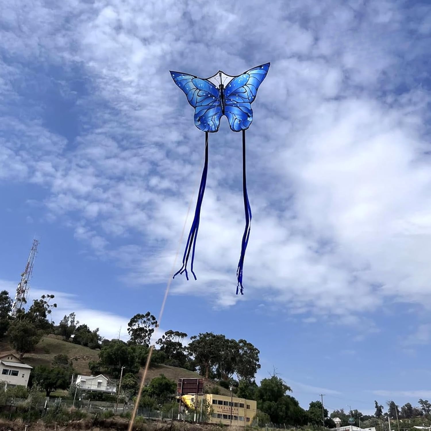 Large Single Line Butterfly Kite for Kids and Adults, Easy to Fly 55" x 28" Beach Kite for Beginners with 300ft String and Handle