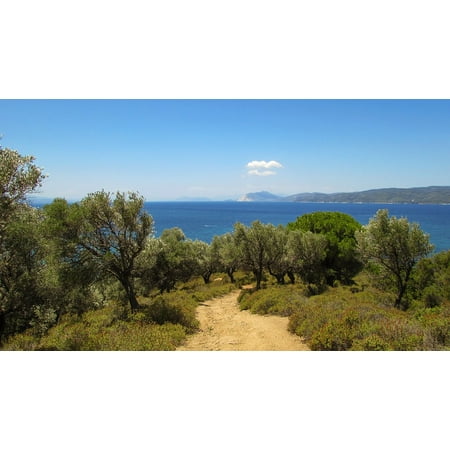 Canvas Print Path Island Skiathos Travel Nature Greece Stretched Canvas 10 x