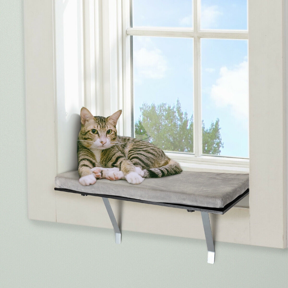 Cat Window Seat Furniture, Making Cat Shelves