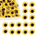 thumbnail image 3 of 40 chinchetas de girasol para fotos, suministros, chinchetas de exhibición D, 3 of 5