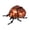 Orange #y68, variant on BiFandian Realistic Bug Toy Collection with Interactive Features, Detailed Insect Figures for Creative Play, Long-Lasting Play Models for Indoor and Outdoor Use