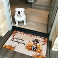 thumbnail image 2 of Happy Thanksgiving Sphynx Welcome Thankful Fall Autumn Pumpkin Doormat Cat Lover Kitten Owner Gifts Idea Indoor Outdoor Welcome Mat - 02021, 2 of 5
