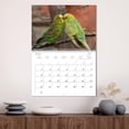 thumbnail image 3 of Budgies (Monthly Wall Calendar 2026 16.5 x 23.4 (open)), CALVENDO 14 Month Calendar, 3 of 9