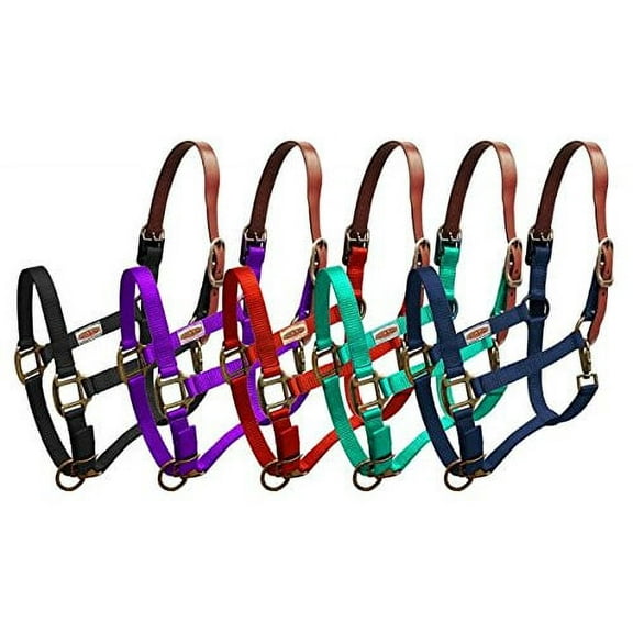 Showman Premium Nylon Breakaway Halter w/ Leather Crown (Black)