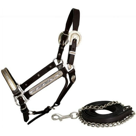 Showman Dark Brown Leather Show Halter w/ Silver & Gold Accents
