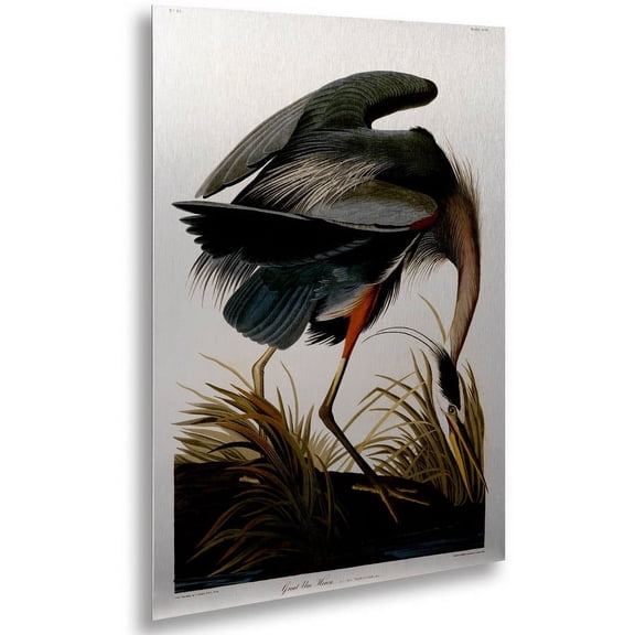 John James Audubon 'Great Blue Heron' Floating Brushed Aluminum Art