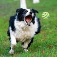 thumbnail image 4 of CHUANK Small Pet Dogs Playing Ball Training Safe Ball Funny Sound Toy Gift, 4 of 4
