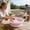 Pink, variant on DZQMTKX Folding Laundry Tub, Collapsible Wash Basin With Scrubbing Surface, Space-Saving Portable Washtub for Home Laundry, Camping, and Outdoor Use
