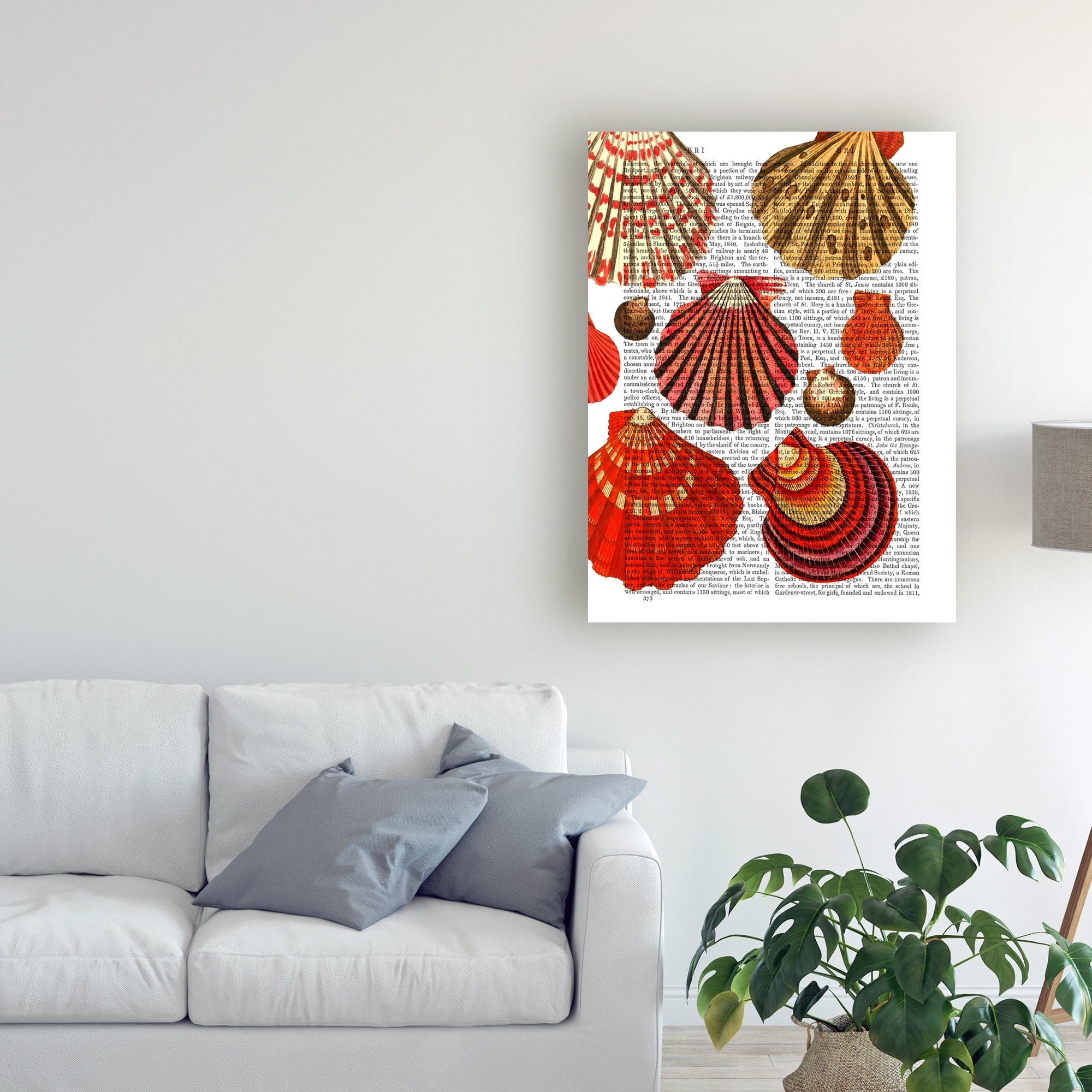Trademark Fine Art 'Red Clam Shells' Canvas Art by Fab Funky