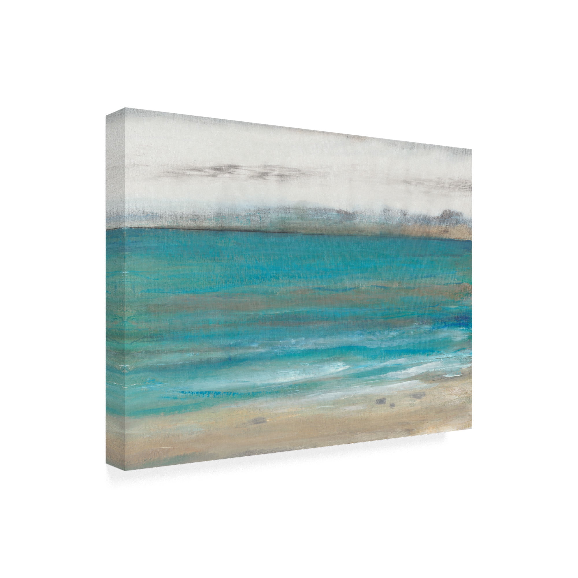 Trademark Fine Art 'Seashore I' Canvas Art by Tim O'Toole
