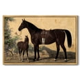 thumbnail image 4 of Drsoum Vintage Canvas Wall Decor 16x24in Natural Framed Horse Room Art for Bathroom Dining Room Hallway, 4 of 6