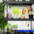 thumbnail image 3 of Luz de cultivo LED Barrina T5 10W 5000K espectro completo 2 unidades, 3 of 9