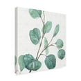 thumbnail image 2 of Trademark Fine Art 'Mixed Greens LI' Canvas Art by Lisa Audit, 2 of 3