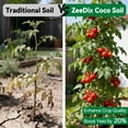 thumbnail image 5 of ZeeDix 8 Pcs 100% Organic Coco Coir Brick Coconut Coir Bricks for Plants Gardening Herbs, 5 of 9