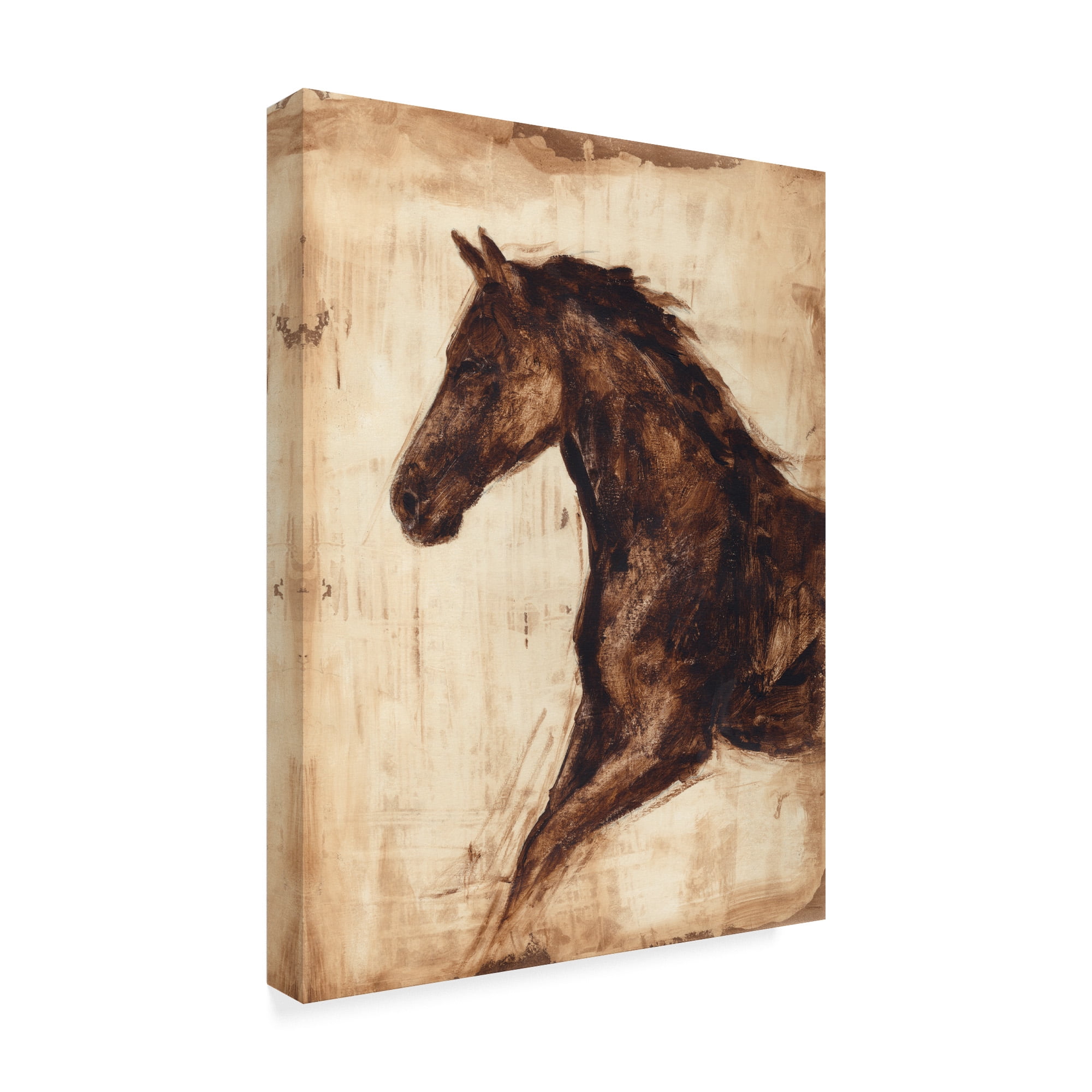 Trademark Fine Art 'Weathered Equestrian I' Canvas Art by Ethan Harper