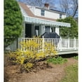 thumbnail image 4 of ALEKO Retractable Motorized Patio Awning 20x10 ft, Green and White Striped Color, 4 of 8