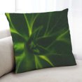 thumbnail image 1 of Ahgly Company Color Focus Green Coussin Décoratif d'Intérieur, 18 Po X 18 Po, 1 of 6