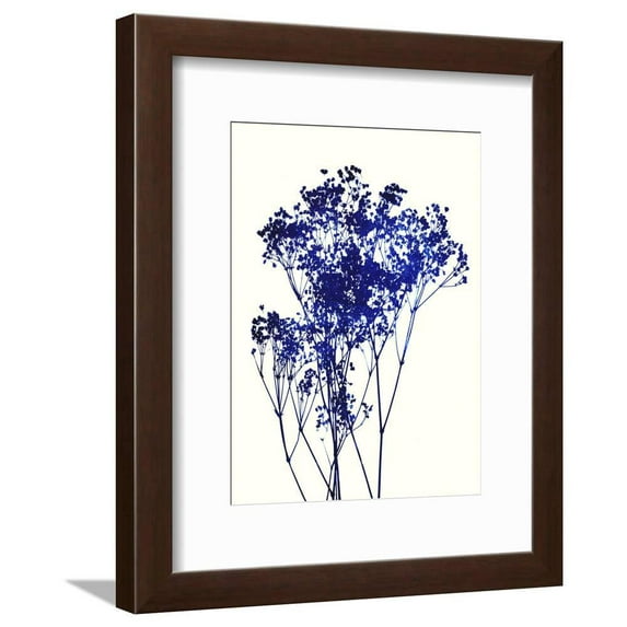 Babys Breath, Framed Art Print Wall Art by Garima Dhawan Sold by Art.Com