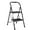 Black, variant on Step Stool for Adults,2 Step Ladder Folding 330lbs Anti Slip Step Stool,Foldable Ergonomic 2 Steel Stool with Wide Pedal for Home, Kitchen, Office (White)