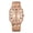 Rose gold, variant on Men's retro square waterproof steel belt quartz watch