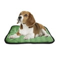 thumbnail image 2 of PKQWTM Soccer Field Football Field Pet Dog Cat Bed Pee Pads Mat Cushion Potty Dogsblankets Crate Bed Kennel 20x24 inch, 2 of 3