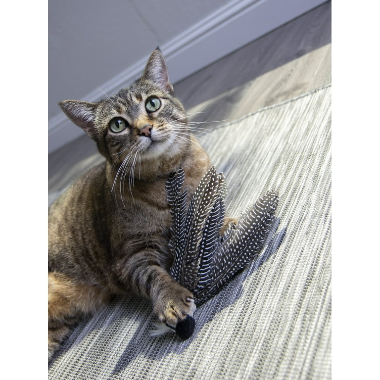 happy pet358。 Petlinks HappyNip Zippy Zebra Catnip Cat Toy - Walmart.com