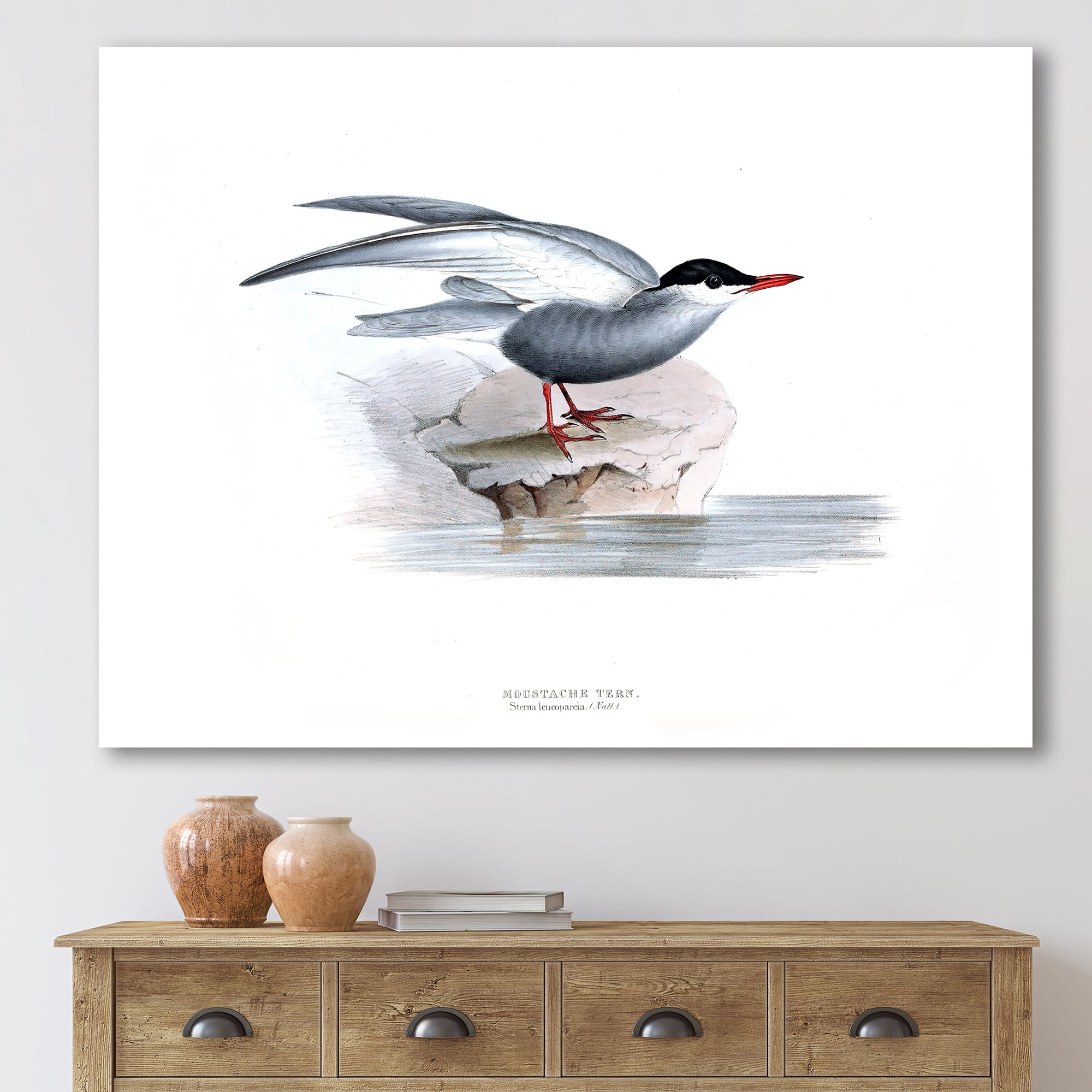 Designart ' Ancient Bird Of Europe I ' Traditional Canvas Wall Art Print