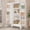 White, variant on EROSOEI Sturdy Metal Kitchen Food Pantry Storage Cabinet with 2 Doors and 3 Adjustable Shelves