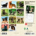 thumbnail image 2 of German Shepherd Puppies | 2026 7x14" (Hanging) Mini Wall Calendar | BrownTrout, 2 of 9