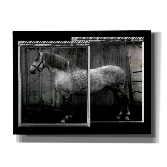 Epic Graffiti 'Vito 2' by Susan Friedman,, 16"x12"