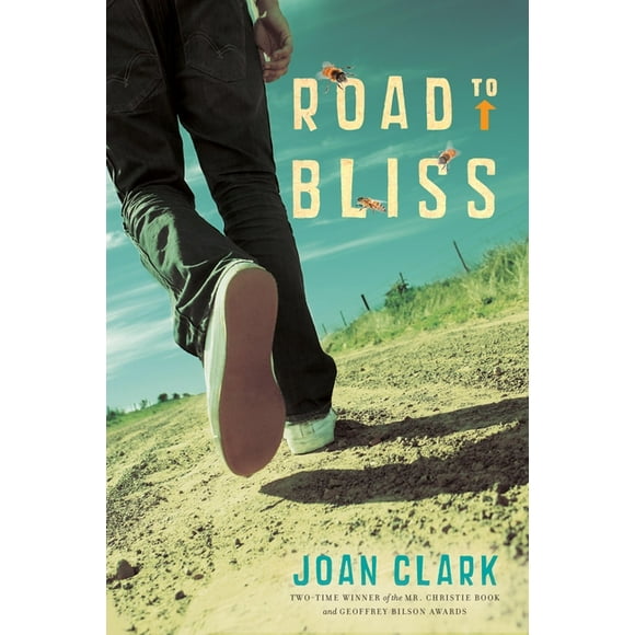 Pre-Owned Road to Bliss (Paperback) by Joan Clark