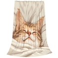 thumbnail image 2 of KLL Sleeping Cat In Blanket Pattern Fleece Throw Blanket,Fleece Throw Blankets for Couch & Bed All Season Use-40"x30", 2 of 7