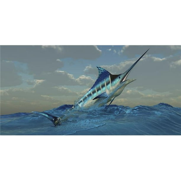StockTrek Images PSTCFR300164U un Marlin Bleu Éclate des Eaux de l'Océan. le Marlin Bleu Est un Prédateur et Est un Poisson de Jeu Préféré avec une Affiche de Pêcheurs en Haute Mer, 20 x 10