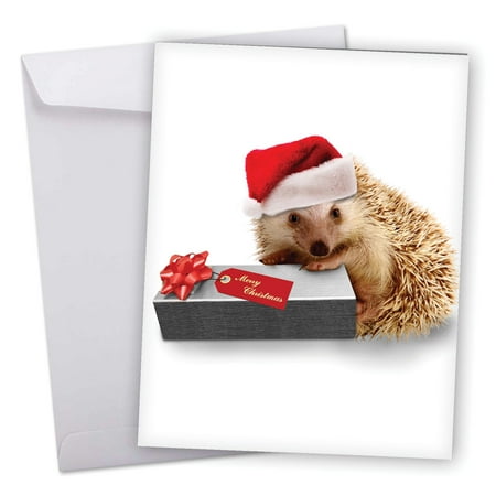 large 'from the hedge present' with envelope 8.5 x 11 inch - season's greetings from a cute hedgehog dressed in a santa hat - animal christmas note card
