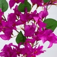 thumbnail image 5 of Nearly Natural Bougainvillea Artificial Floral Stem Sprays - 47" - Hot Pink - Set of 3, 5 of 9