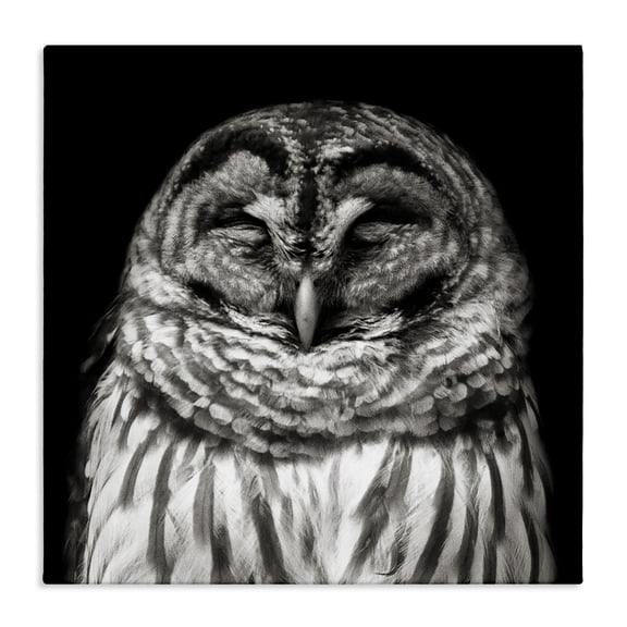 Stupell Industries Farmhouse Sleeping Owl Portrait Canvas Art, 17 x 17, by Kathy Mansfield