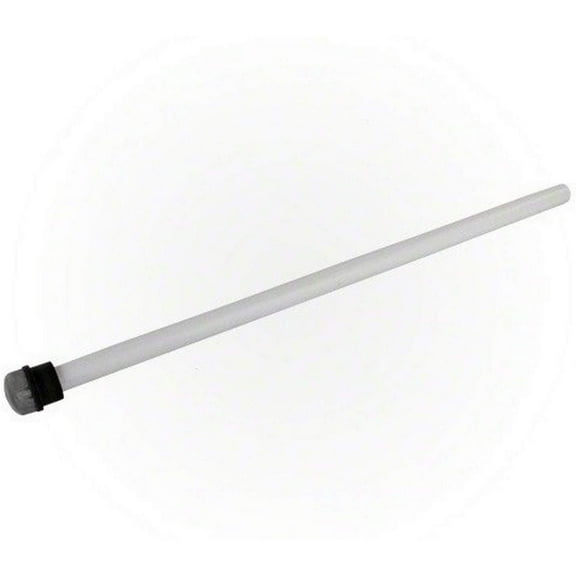 Pentair 170029 Air Bleed Tube Assembly Replacement Pool Cartridge and DE Filter