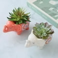 thumbnail image 3 of Cute Animal Elephant Shaped Ceramic Succulent Cactus Air Plant Flower Pots Planters-Plant Not Included (Red), 3 of 10