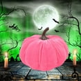 thumbnail image 4 of 7Pcs Assorted Artificial Velvet Pumpkins Small Decorative Foam Fabric Pumpkins for Fall Halloween Thanksgiving Table, 4 of 7