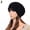 Black, variant on ruhuadgb Women Autumn Fashion Hip Hop Cap Winter Warm Casual Pleated Crochet Beanie Hat