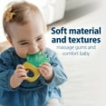 thumbnail image 4 of Dr. Brown's Aqua Cool Water-Filled Teether, Cooling Baby Teether Toy for Sore Gums, Cactus, BPA Free, 3m+, 2-Pack, 4 of 16