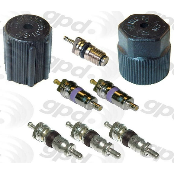 Global A/C System Valve Core and Cap Kit 1311683