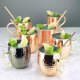 thumbnail image 3 of Tazas Moscow Mule - Juego de 4 - Tazas sólidas 100% artesanales, tazas de cobre de 500 ml, baño de cobre puro y asas de latón dorado. 9,4 cm de diámetro x 10 cm de alto., 3 of 7